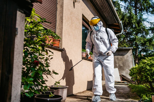 Best Wasp Removal Services  in Brandenburg, KY