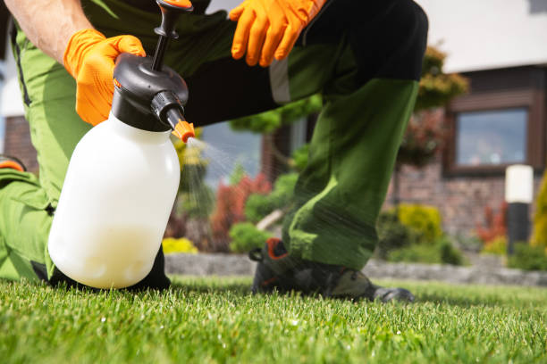Best Bed Bug Extermination  in Brandenburg, KY
