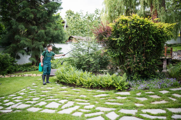 Best Pest Inspection Near Me  in Brandenburg, KY