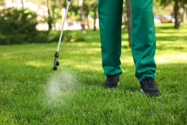 Best Pest Control for Businesses  in Brandenburg, KY