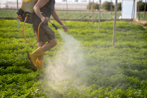 Best Best Pest Control Companies  in Brandenburg, KY