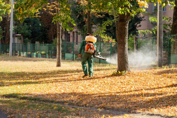 Pest Prevention Services in Brandenburg, KY