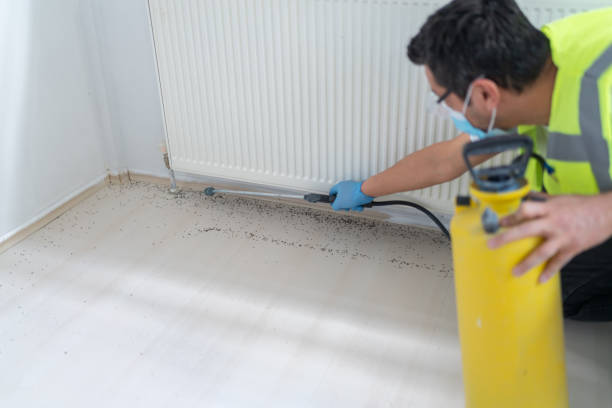 Best Exterminator Services  in Brandenburg, KY